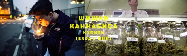 крисы Липки