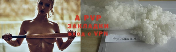 крисы Липки