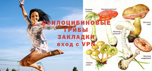 прущие грибы Лихославль