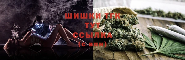 крисы Липки