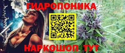 ECSTASY Гусь-Хрустальный