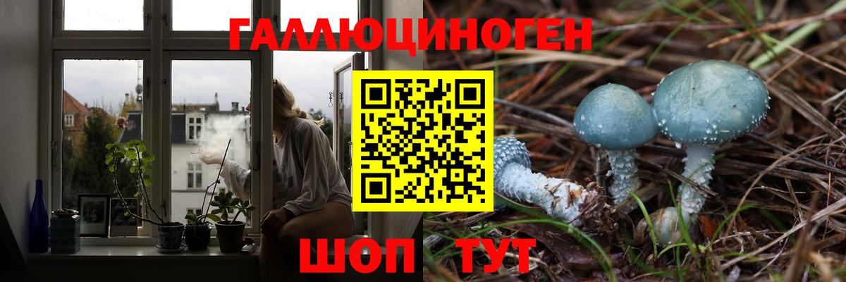 Галлюциногенные грибы GOLDEN TEACHER  Галлюциногенные грибы GOLDEN TEACHER  Кумертау  Вход с VPN 